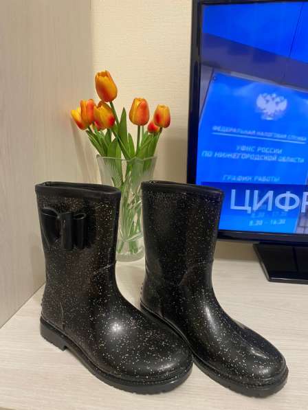 Резиновые сапоги