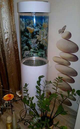 Уникальный комплексный аквариум в Магнитогорске фото 5