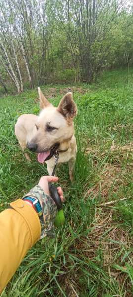 Фаичка ищет дом в Москве фото 6