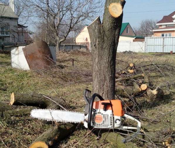 Выкорчевка в магнитогорске