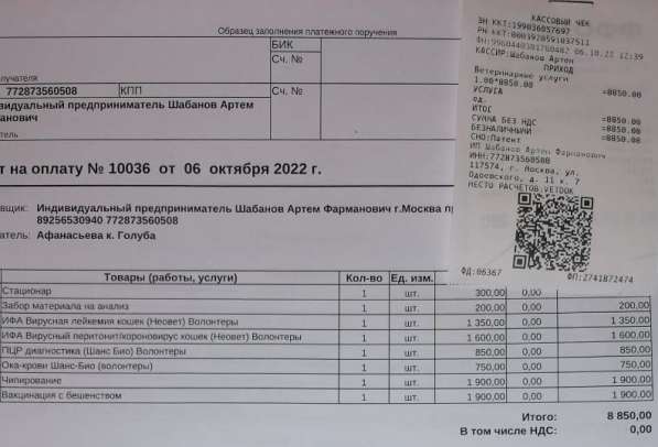 Сос! Кошечку выкинули на улицу в Москве