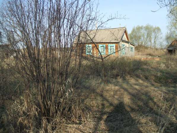 Продается дом у реки и участок 24 сотки в Алтайском крае в Барнауле фото 11