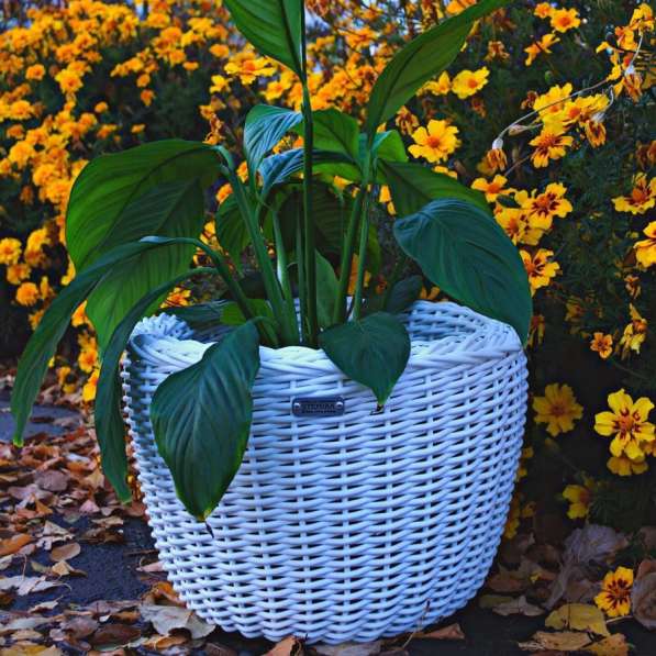 Кашпо в Ульяновске фото 21