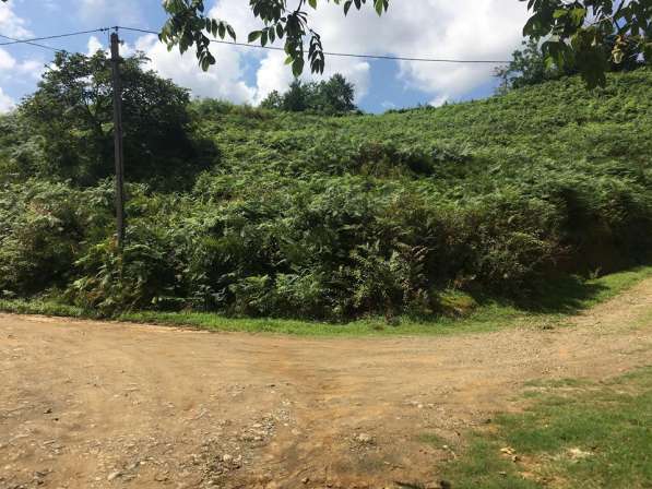 В 6 км от батуми, в село челта продается земельный участок в фото 3