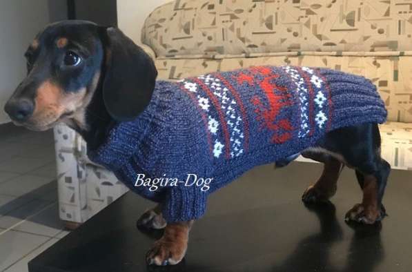 Свитера для собак ручной работы в Москве фото 38