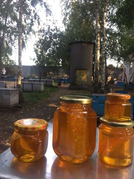Пчёлы пчелосемьи пчелопакеты в Домодедове фото 4