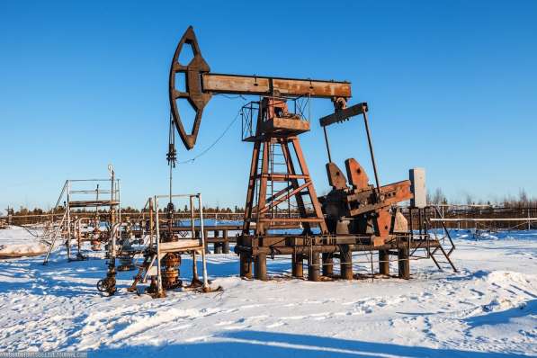 Интерпретация сейсморазведки, подсчет запасов нефти в Архангельске фото 4