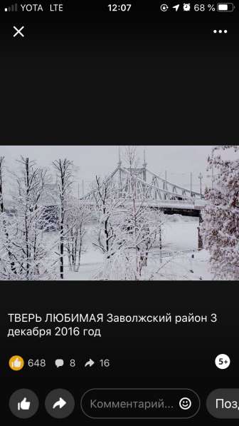 Папильон (Папийон) щенок в Твери фото 9