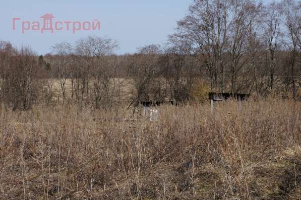 realty_mapper3.plot_in_locationПлощадь 20.00 сот. в Вологде фото 5