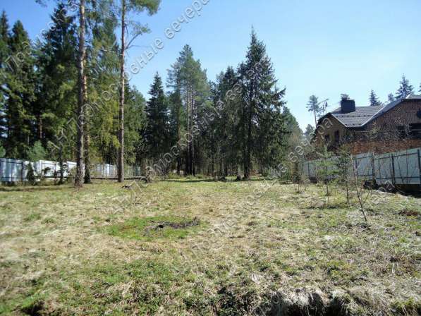 realty_mapper3.plot_in_locationСадовое некоммерческое тов-во. Площадь 20.00 сот.Есть Электричество. в Москве фото 5