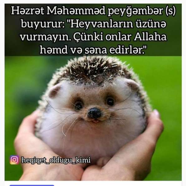 Мага, 50 лет, хочет познакомиться – Где она?