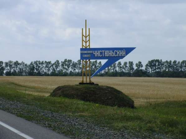 Алтайский край, село Ракиты, Топчихинский р-н в Барнауле фото 15