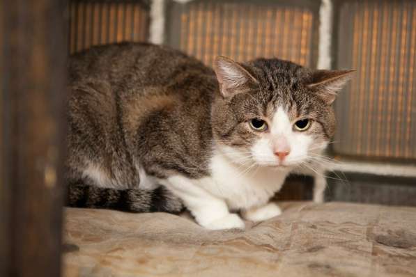 Скромный Гарри в поисках уютного дома в Москве фото 4