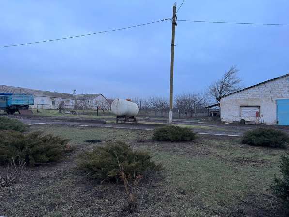 Агрохозяйство 452 гектара, Старобешево в фото 5