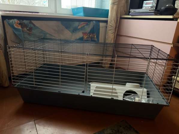 Большая клетка