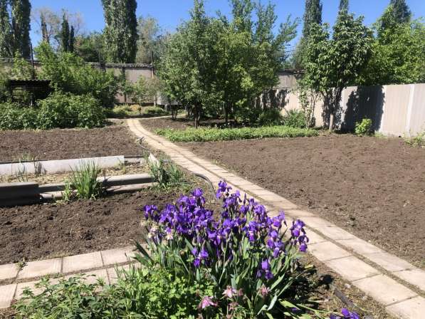 Дача в Орске фото 4