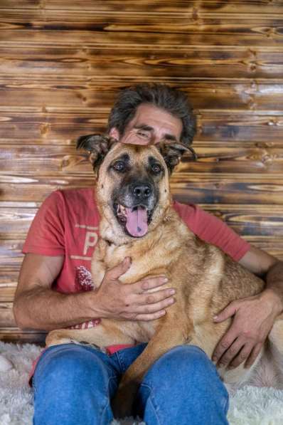 Славный богатырь Норд Батькович ищет дом в Москве фото 3