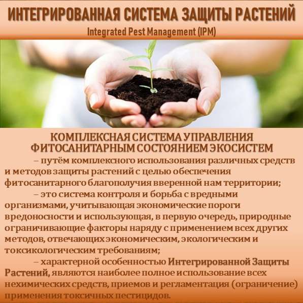 СИСТЕМА УПРАВЛЕНИЯ ФИТОСАНИТАРНЫМ СОСТОЯНИЕМ ЭКОСИСТЕМ в Сочи фото 16