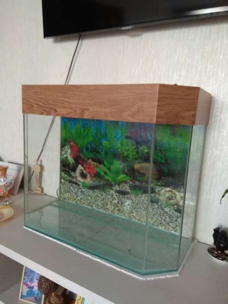 Продам аквариум в Новосибирске