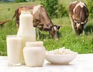 Молоко, Сметана в Костерёво фото 5