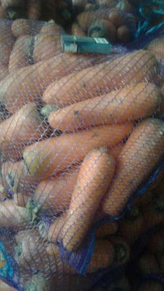 Оптовые поставки мытой, крупной моркови в Чебоксарах