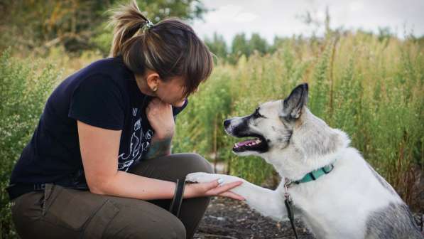 Суперактивная Халва в Москве фото 45