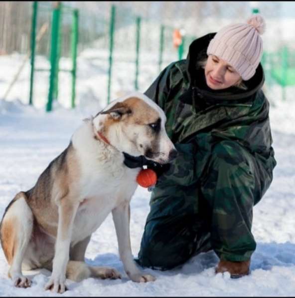 Возьми Стива домой