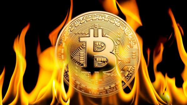 Крипта/Курсы