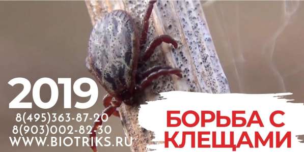 Обработка участков от клещей, борщевика в Истре в Истре фото 9