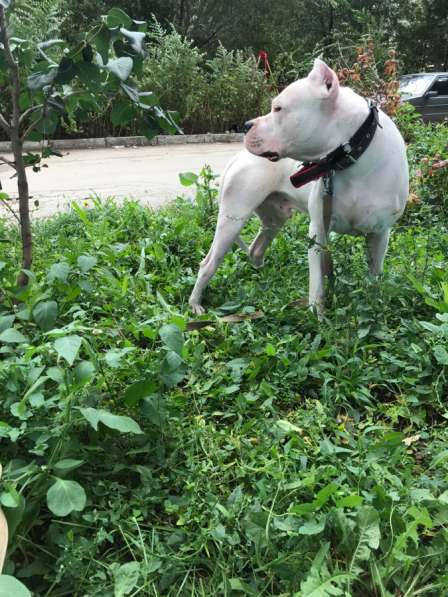 Вязка в Самаре фото 3