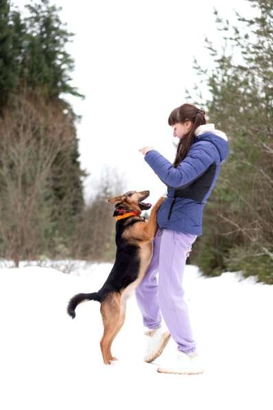 Добряк Стёпа ищет дом в Москве фото 4