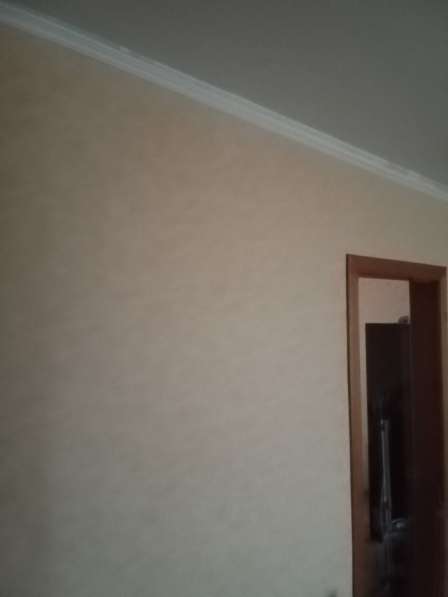 Классная, уютная, толстостенная квартира, био пейзаж в Москве фото 9