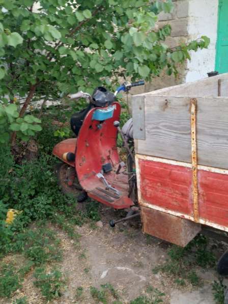 Продам мураве Продам 35 в Москве