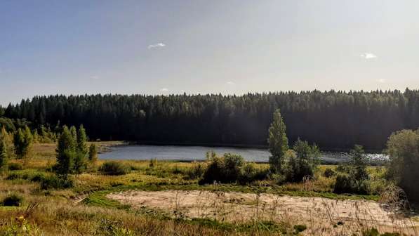Высоко расположенный участок 54 сотки ЛПХ у чудесного озера в Пскове фото 19