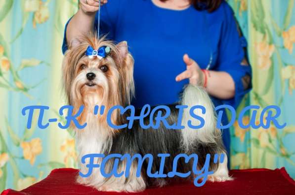 Boys Biewer в Москве фото 6