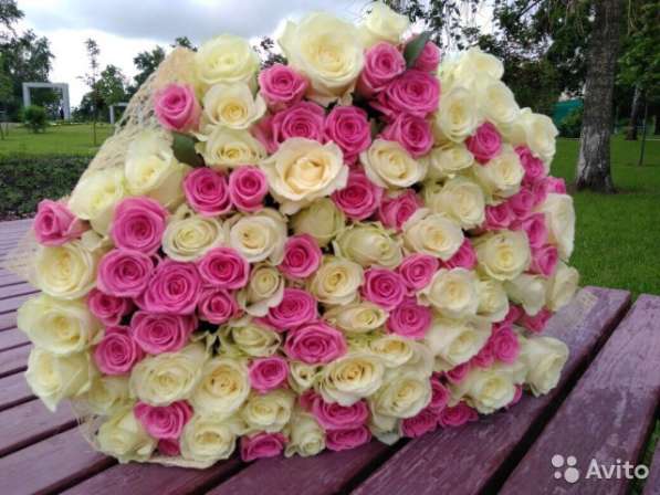 Роза. Купить розы/Доставка 24 ч Нижний Новгор в Нижнем Новгороде фото 4
