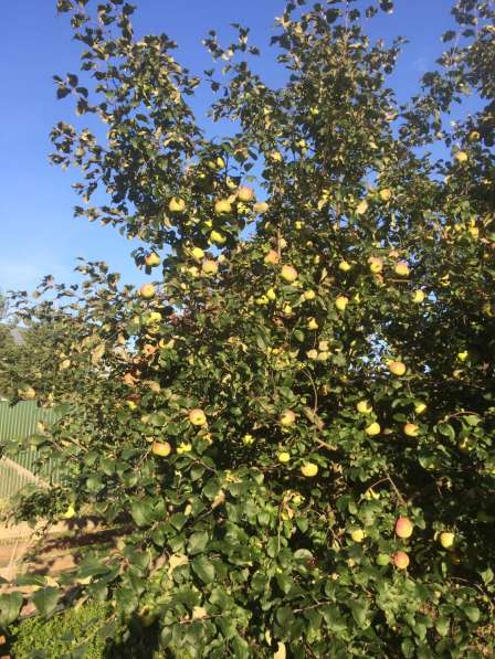 Продаётся участок ИЖС в Москве фото 8