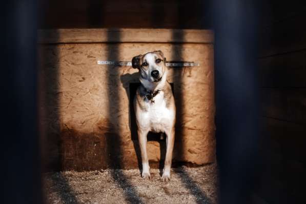 Молодой энергичный Майор ищет семью в Москве фото 14