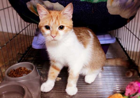 Очаровательная Злата грезит о доме