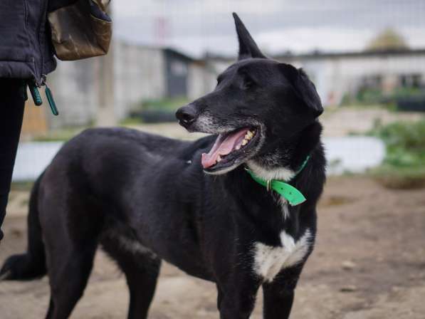 Уникальная Шерри в Москве фото 25