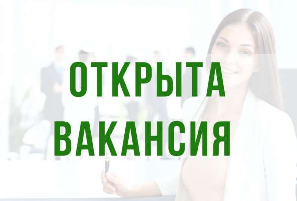 Администратор интернет-направления