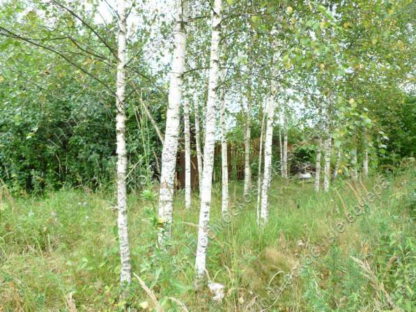 Продам дом в Москва.Жилая площадь 120 кв.м.Есть Электричество. в Москве фото 3