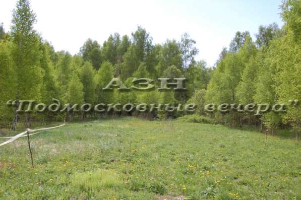 realty_mapper3.plot_in_locationСадовое некоммерческое тов-во. Площадь 15.00 сот.Есть Электричество. в Москве фото 27