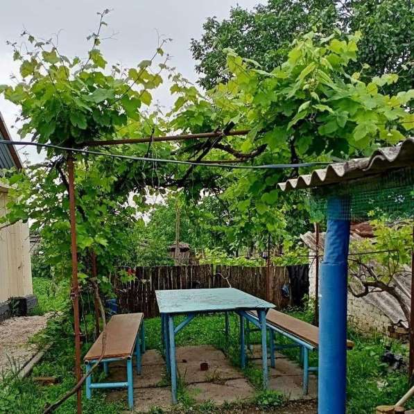 Продается дом поселок фруктовый в Минеральных Водах фото 6