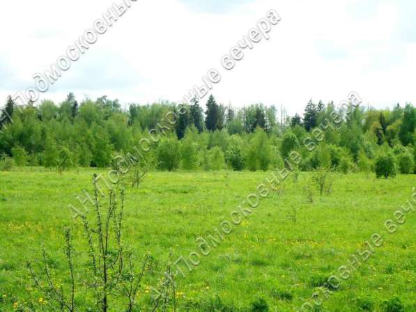 realty_mapper3.plot_in_locationПлощадь 253.00 сот.Есть Электричество, Газ. в Москве фото 49