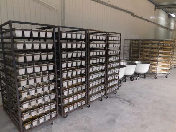 Полный комплект оборудования для хлебопекарного производства в Красноярске фото 4