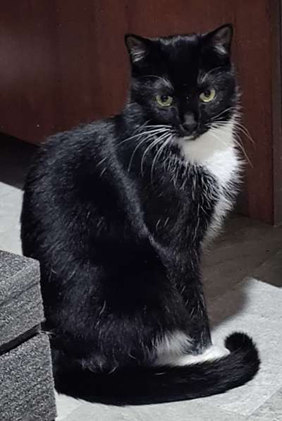 Нежная Амира в фото 3