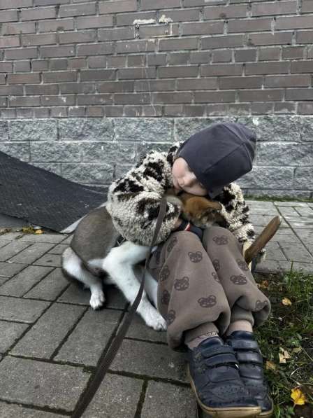 Снежа – Плюшевая Нежность и Комочек Обаяния! в Санкт-Петербурге фото 6