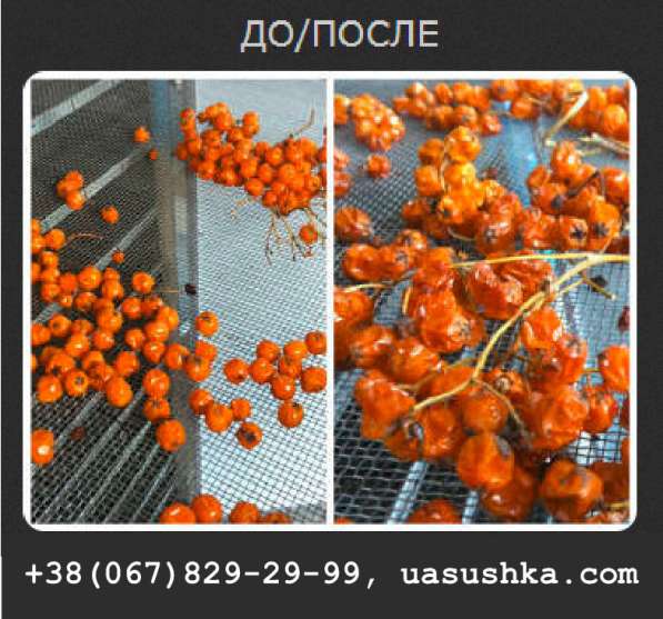 Мебель из нержавейки