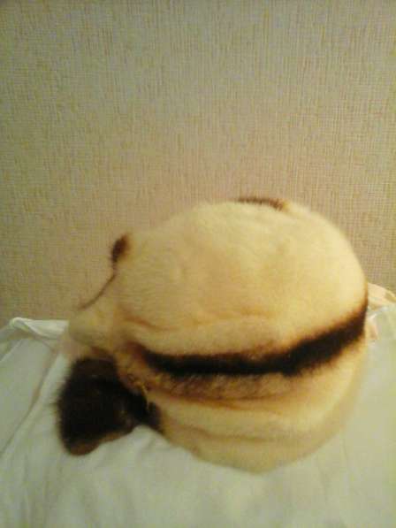 Продаётся шубка из бобра и шапка из меха норки в Челябинске